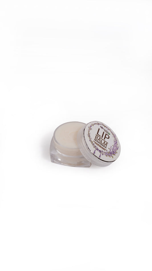 Vanilla Lip Balm